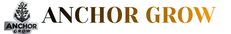 AnchorGrow – Stable Growth for Your Business